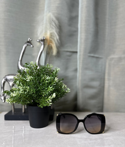 NEW Cindy Lu Sunglasses