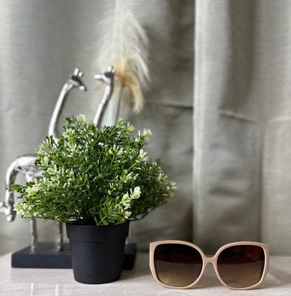NEW Tan Cat Eye Sunglasses