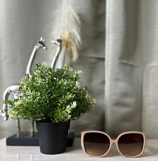 NEW Tan Cat Eye Sunglasses