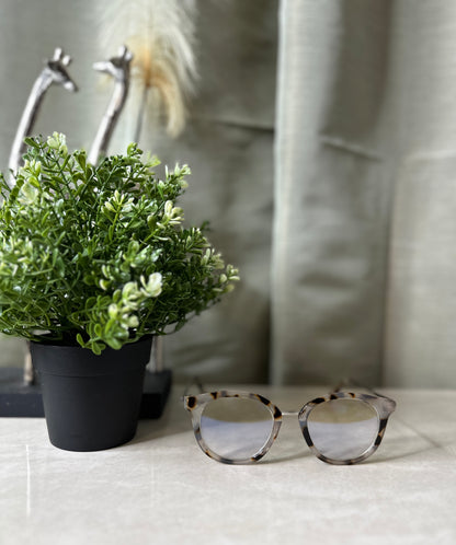 NEW Tortoise Collection